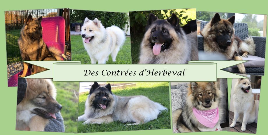 Contrées d'Herbeval